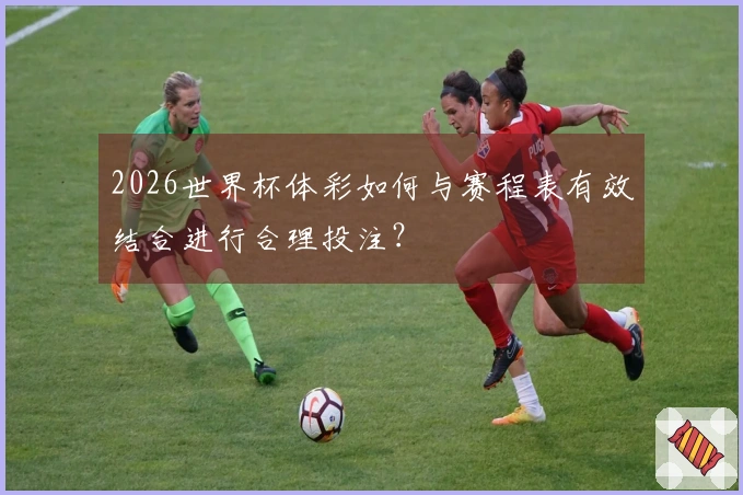 2026世界杯体彩如何与赛程表有效结合进行合理投注？