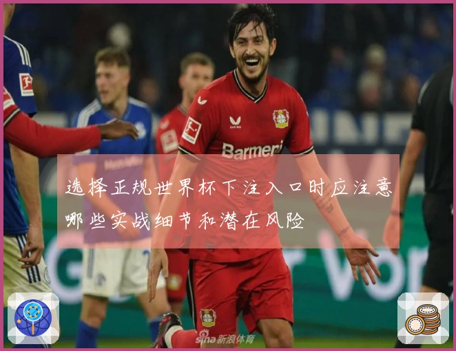 选择正规世界杯下注入口时应注意哪些实战细节和潜在风险