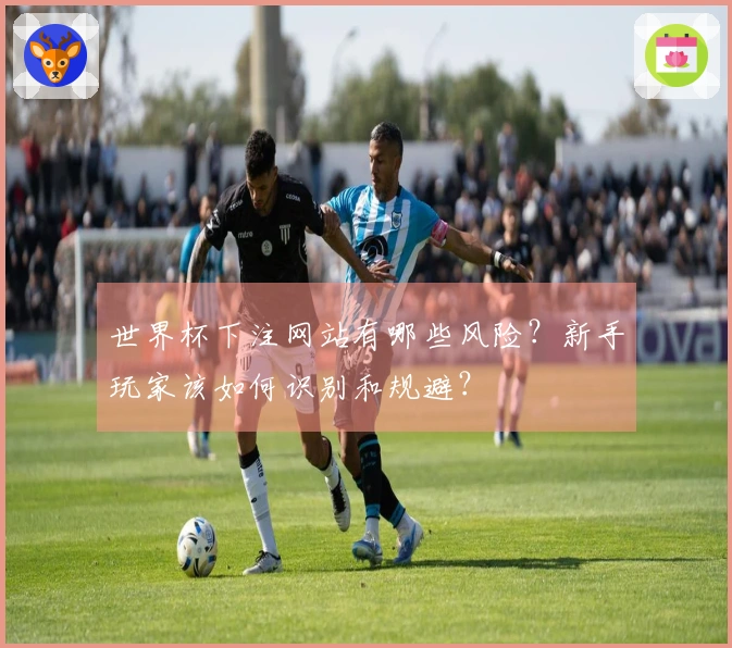 世界杯下注网站有哪些风险？新手玩家该如何识别和规避？