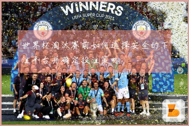 世界杯淘汰赛前如何选择安全的下注平台并确定投注策略