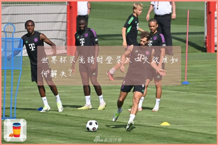 世界杯买竞猜时登录入口失效该如何解决？
