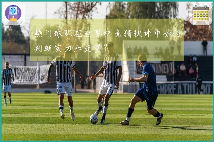 热门球队在世界杯竞猜软件中如何判断实力和走势？