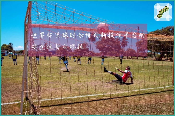 世界杯买球时如何判断投注平台的安全性与合规性