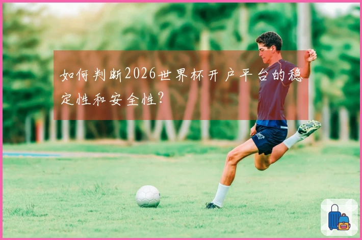 如何判断2026世界杯开户平台的稳定性和安全性？