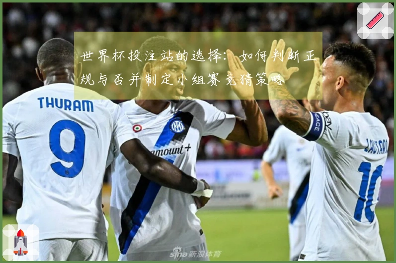 世界杯投注站的选择：如何判断正规与否并制定小组赛竞猜策略