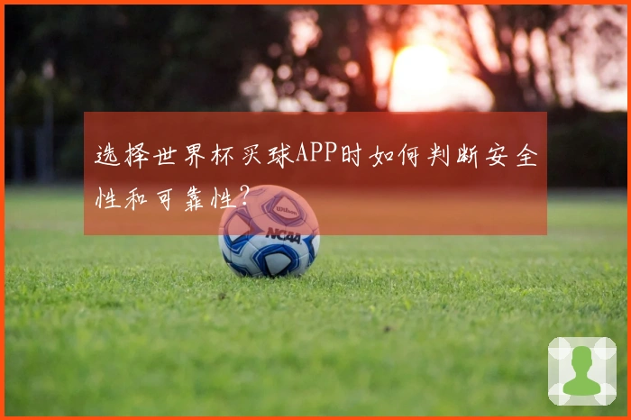 选择世界杯买球APP时如何判断安全性和可靠性？