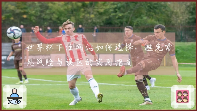 世界杯下注网站如何选择，避免常见风险与误区的实用指南