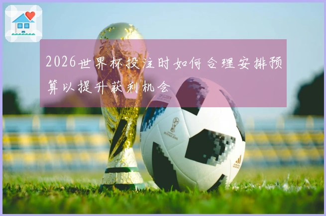 2026世界杯投注时如何合理安排预算以提升获利机会