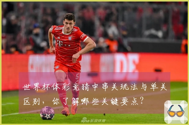 世界杯体彩竞猜中串关玩法与单关区别，你了解哪些关键要点？
