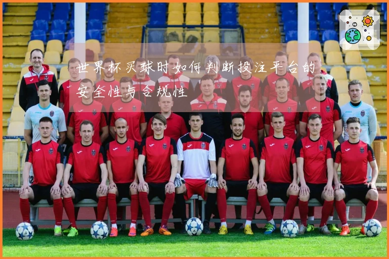 世界杯买球时如何判断投注平台的安全性与合规性