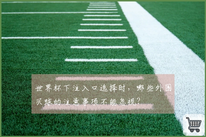 世界杯下注入口选择时，哪些外围买球的注意事项不能忽视？