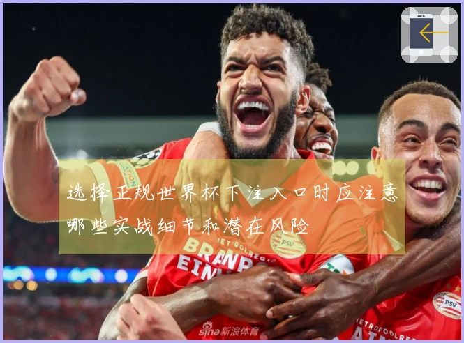 选择正规世界杯下注入口时应注意哪些实战细节和潜在风险