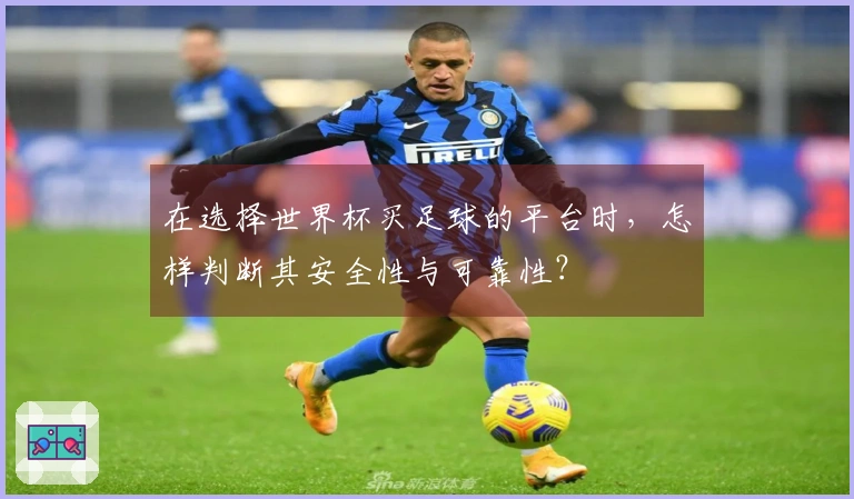 在选择世界杯买足球的平台时，怎样判断其安全性与可靠性？