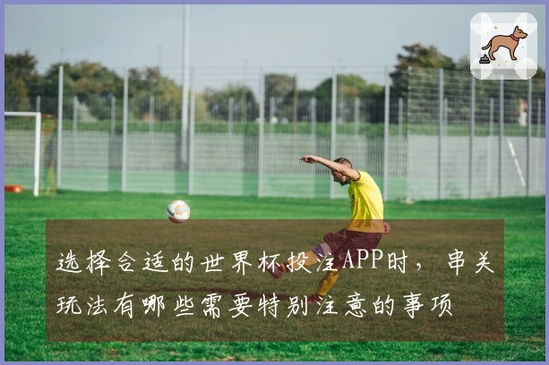 选择合适的世界杯投注APP时，串关玩法有哪些需要特别注意的事项