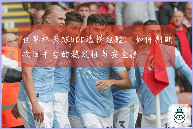 世界杯买球app选择经验：如何判断投注平台的稳定性与安全性