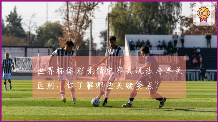 世界杯体彩竞猜中串关玩法与单关区别，你了解哪些关键要点？